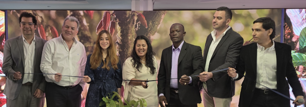 Cacao por coca: la alianza histórica que beneficia a 25.000 familias campesinas en Colombia